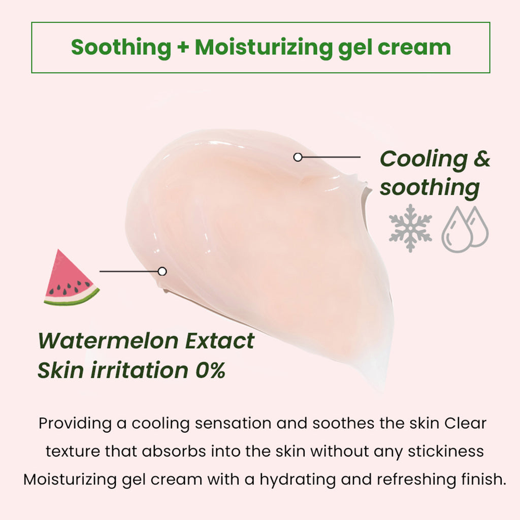 Heimish- Watermelon Moisture Soothing Gel Cream 110ml